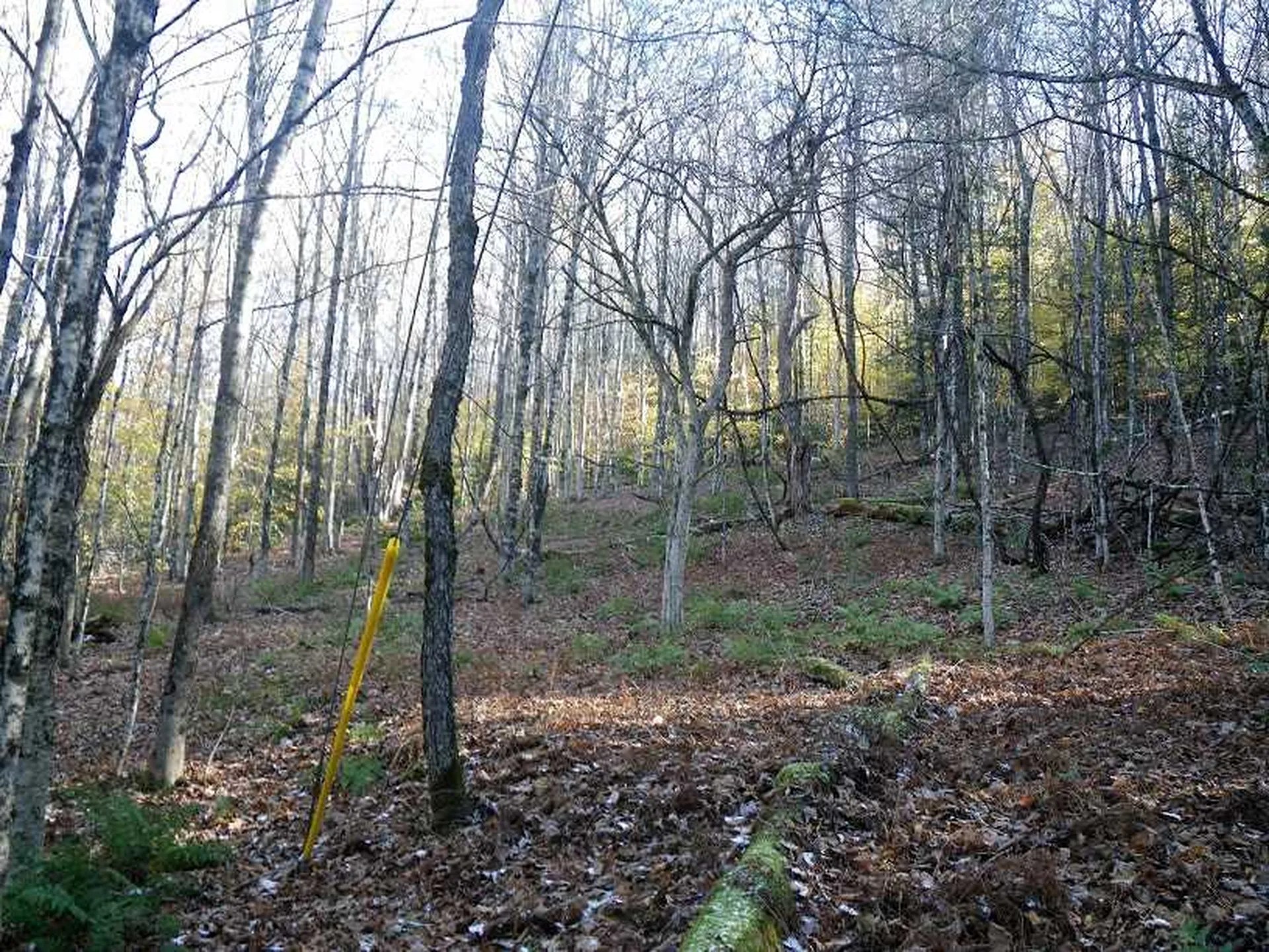307 Rankin Road Fayston VT 05673
