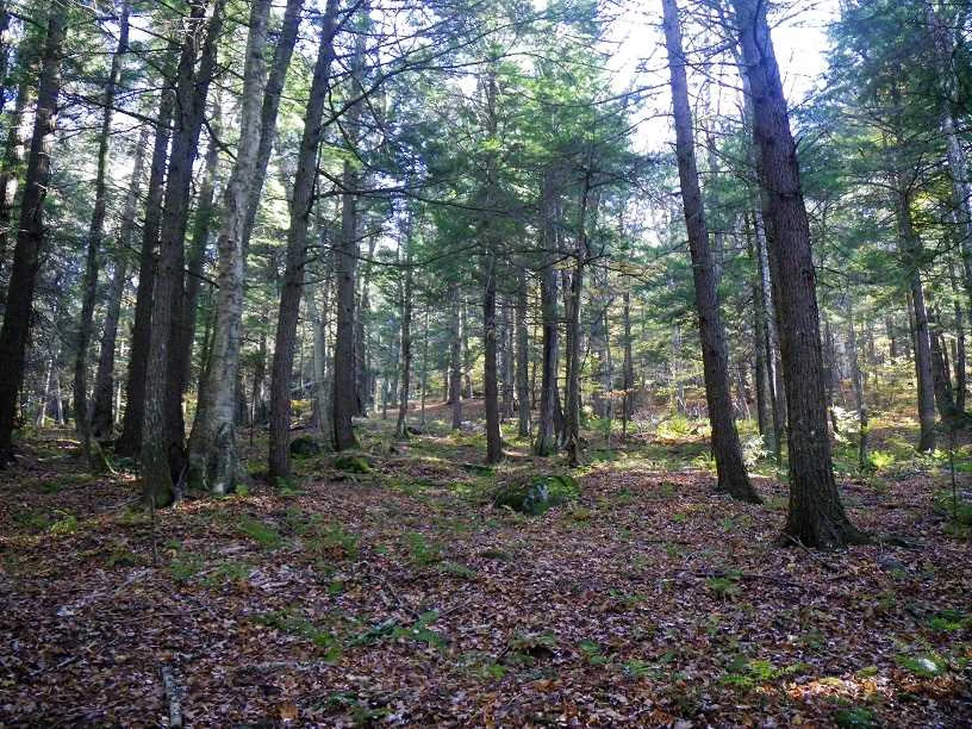 307 Rankin Road Fayston VT 05673