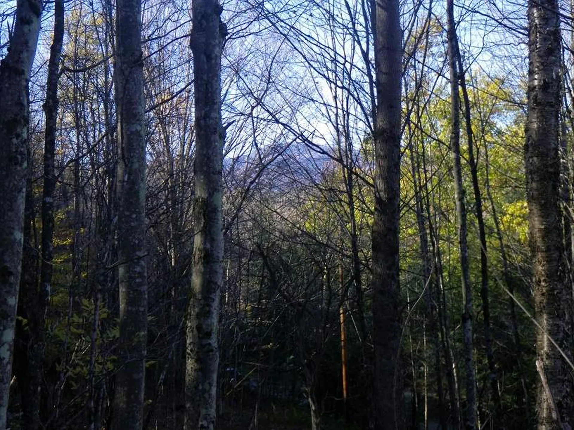 307 Rankin Road Fayston VT 05673