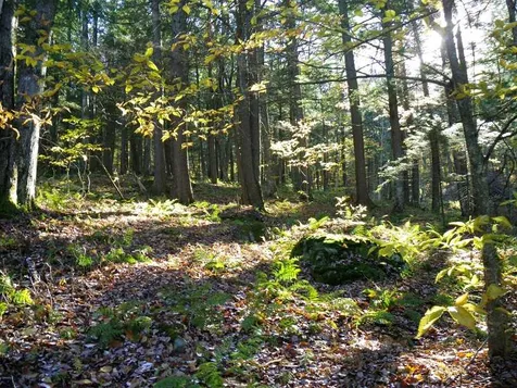 307 Rankin Road Fayston VT 05673