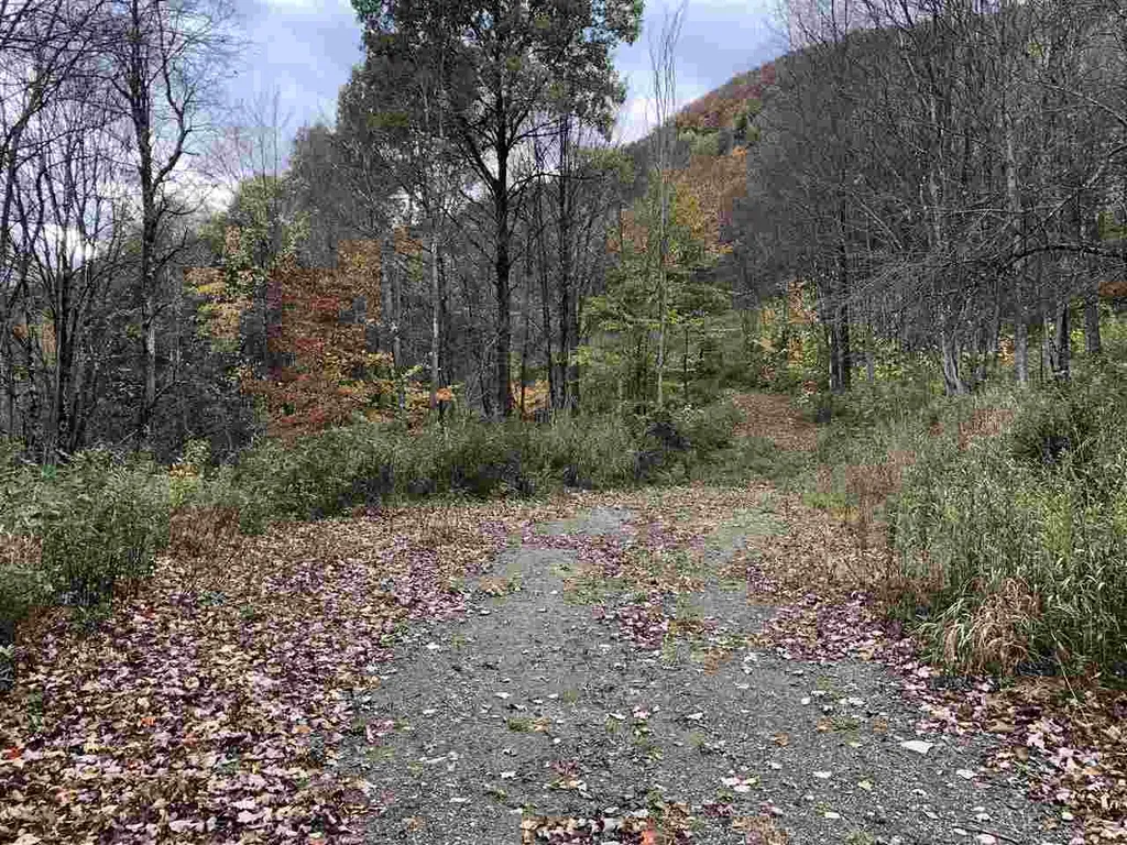 1094 Vt Route 100 Warren VT 05674