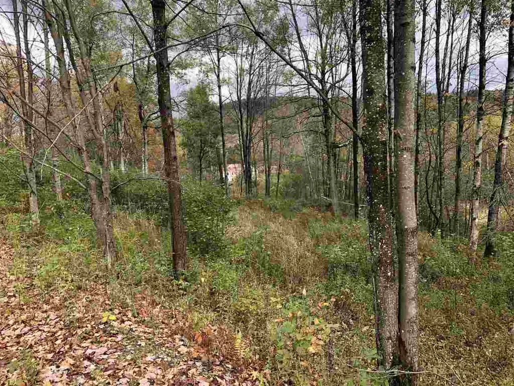1094 Vt Route 100 Warren VT 05674