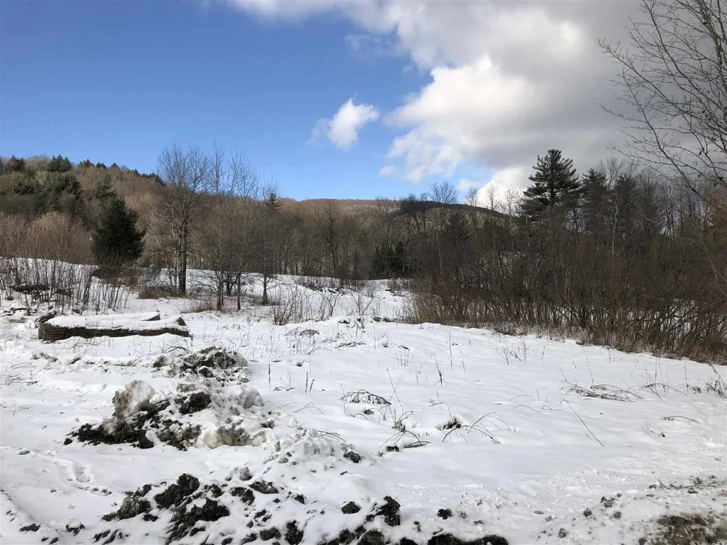 1094 Vt Route 100 Warren VT 05674