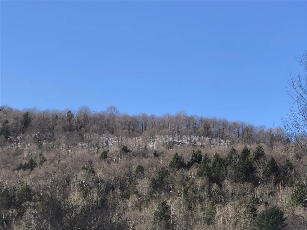 1094 Vt Route 100 Warren VT 05674