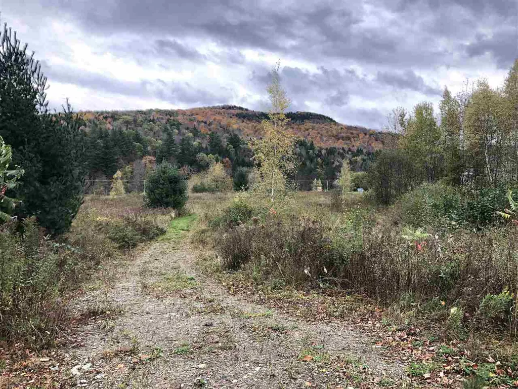 1094 Vt Route 100 Warren VT 05674