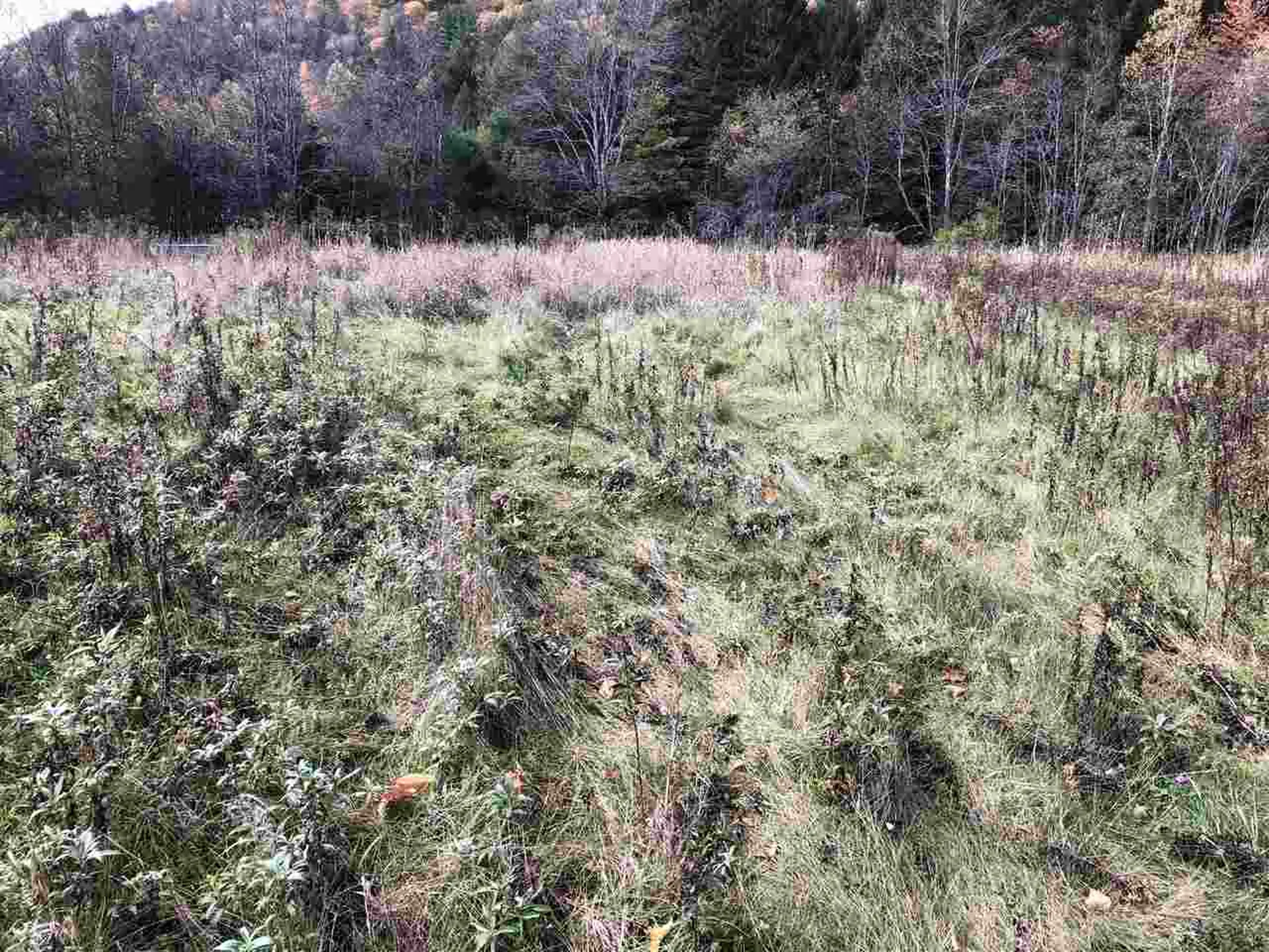 1094 Vt Route 100 Warren VT 05674