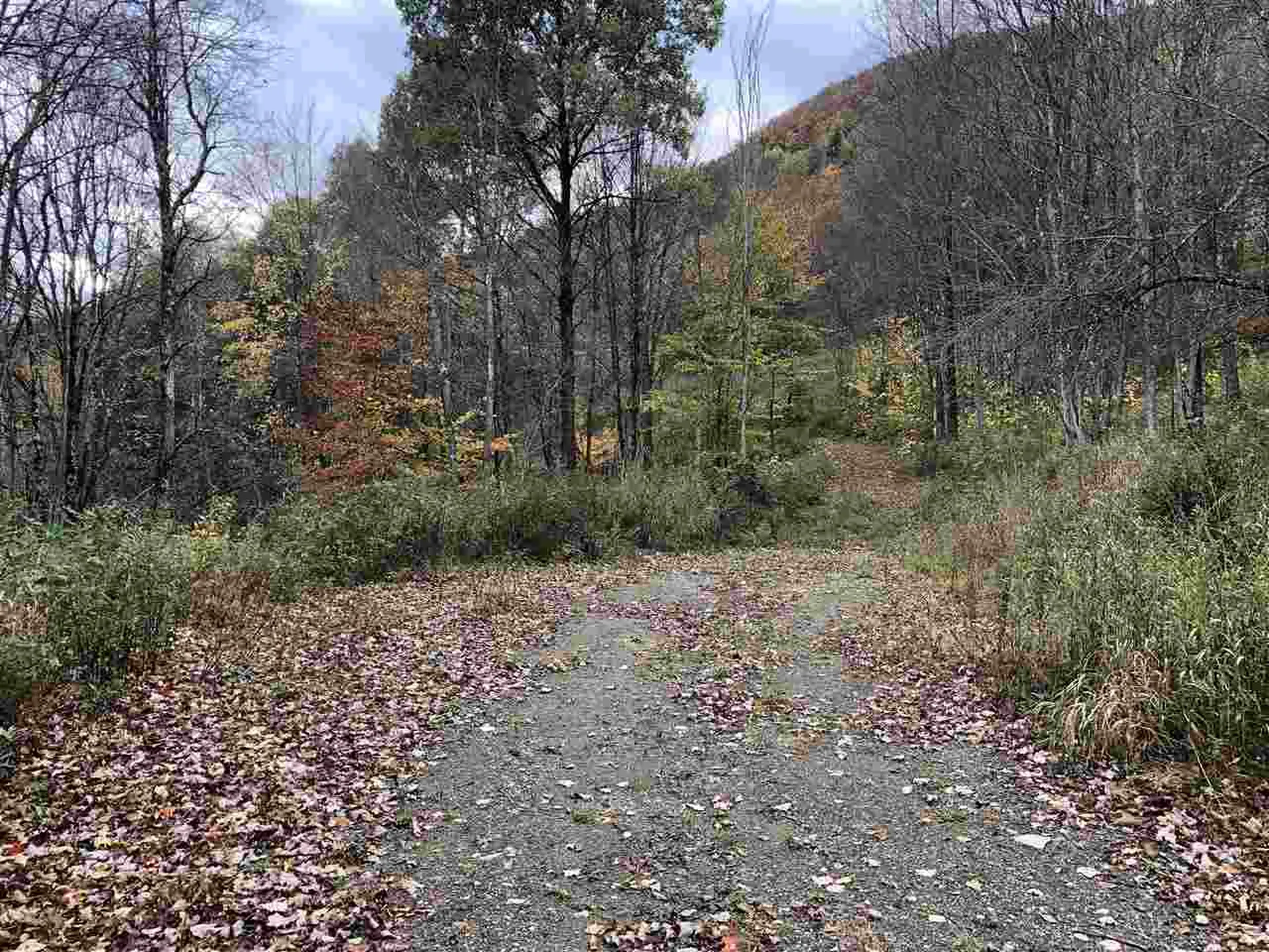 1094 Vt Route 100 Warren VT 05674