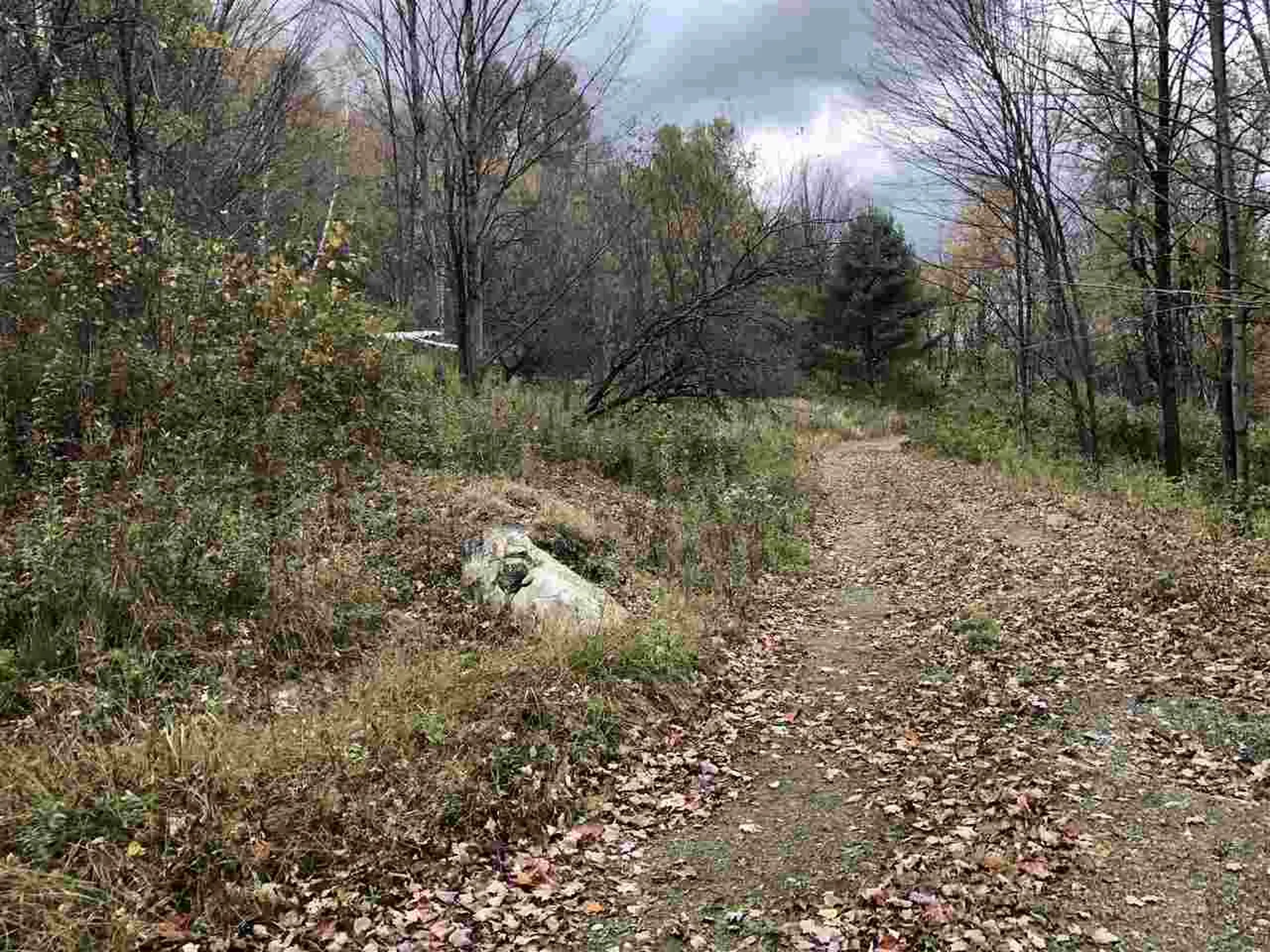 1094 Vt Route 100 Warren VT 05674