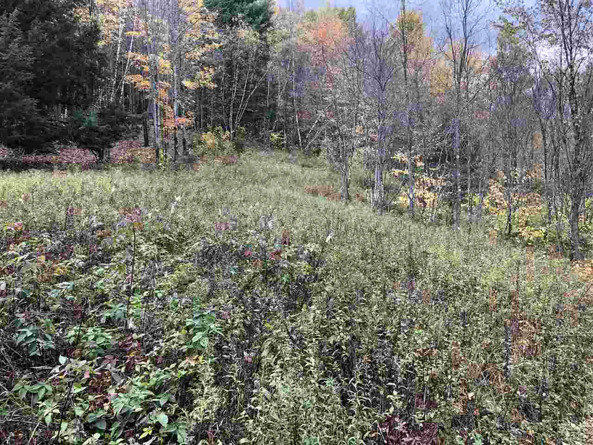 1094 Vt Route 100 Warren VT 05674