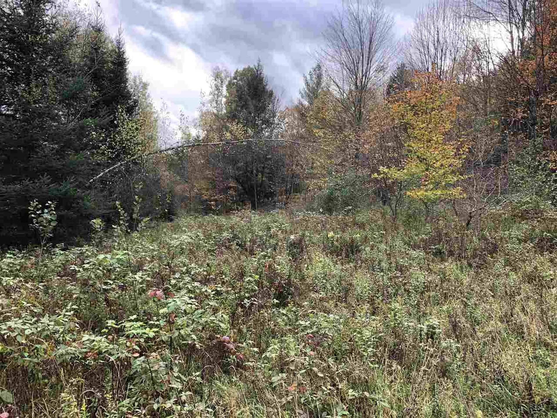 1094 Vt Route 100 Warren VT 05674