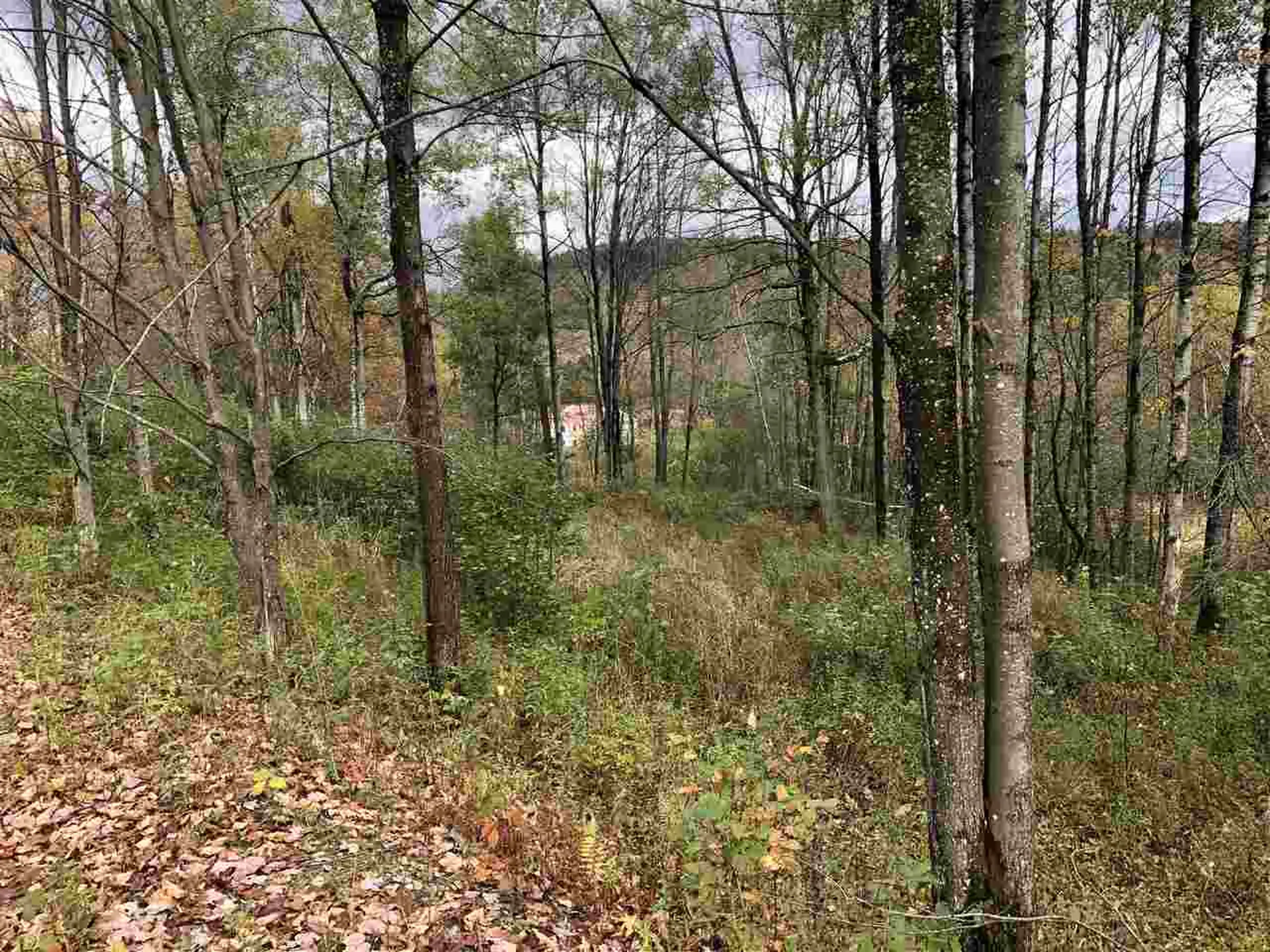 1094 Vt Route 100 Warren VT 05674