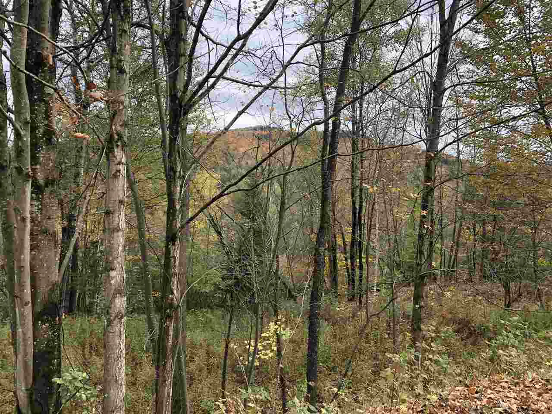 1094 Vt Route 100 Warren VT 05674