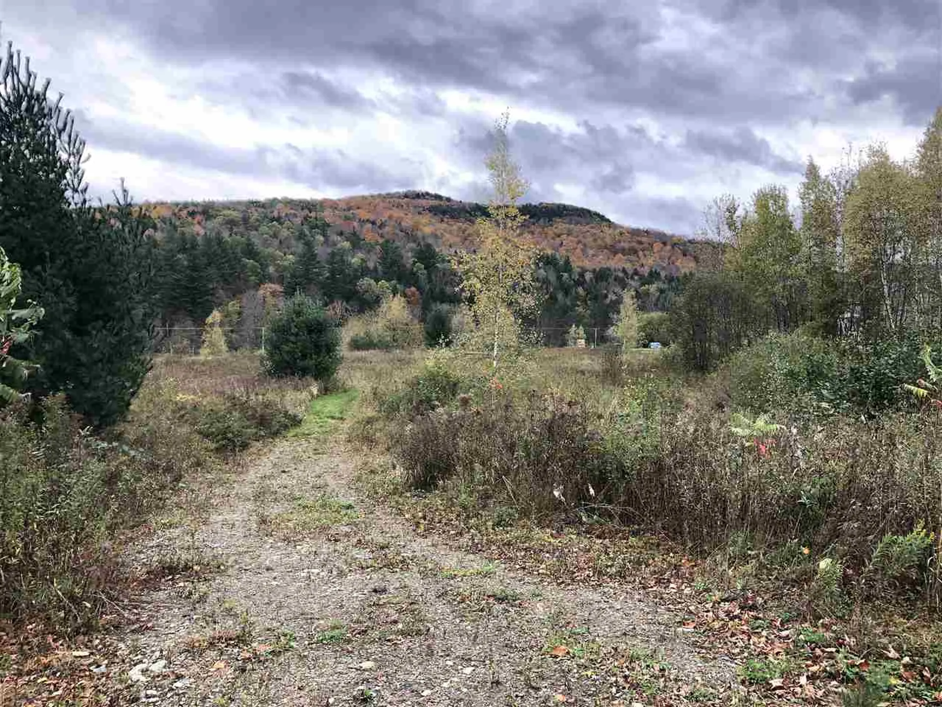 1094 Vt Route 100 Warren VT 05674
