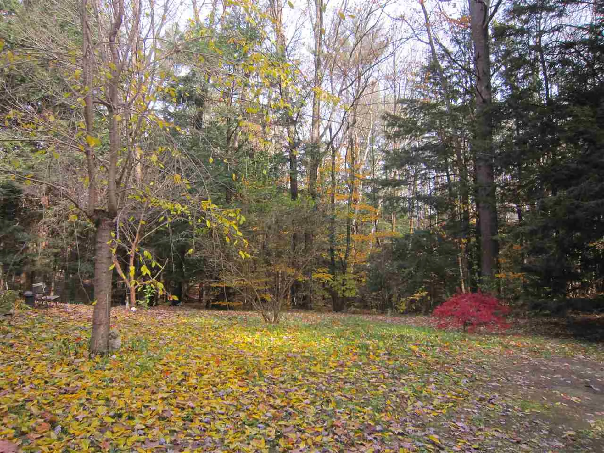 83 Mountain View Road Putney VT 05346