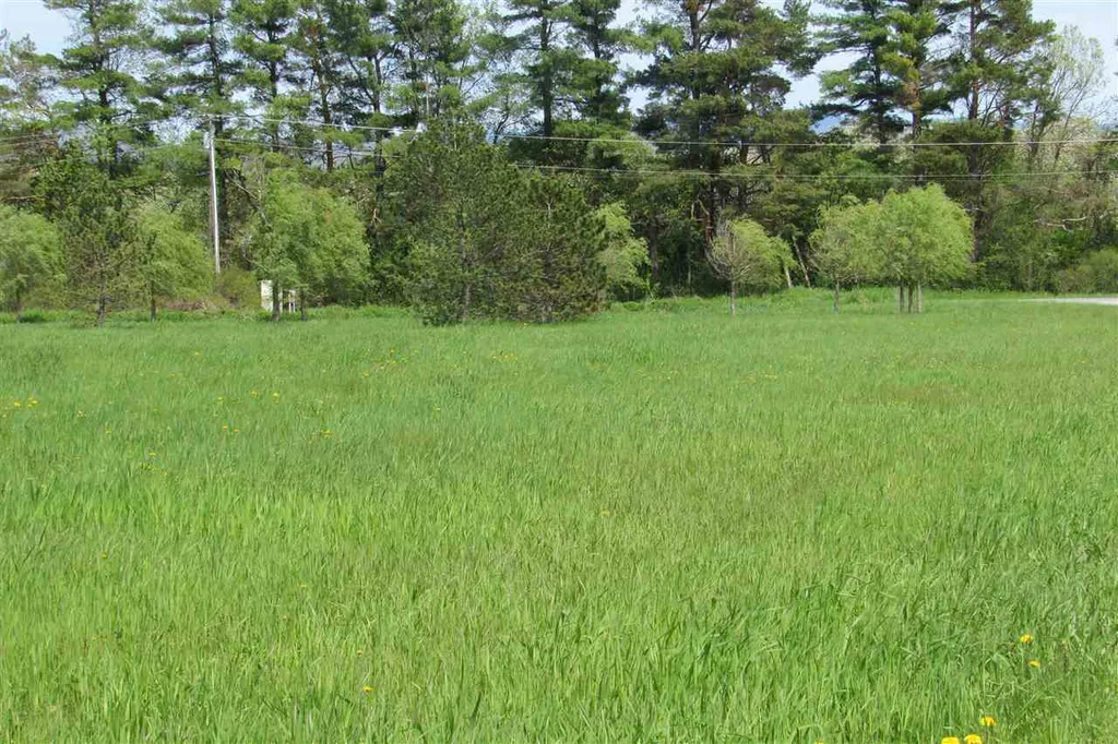 2137 North Bingham Street Cornwall VT 05753