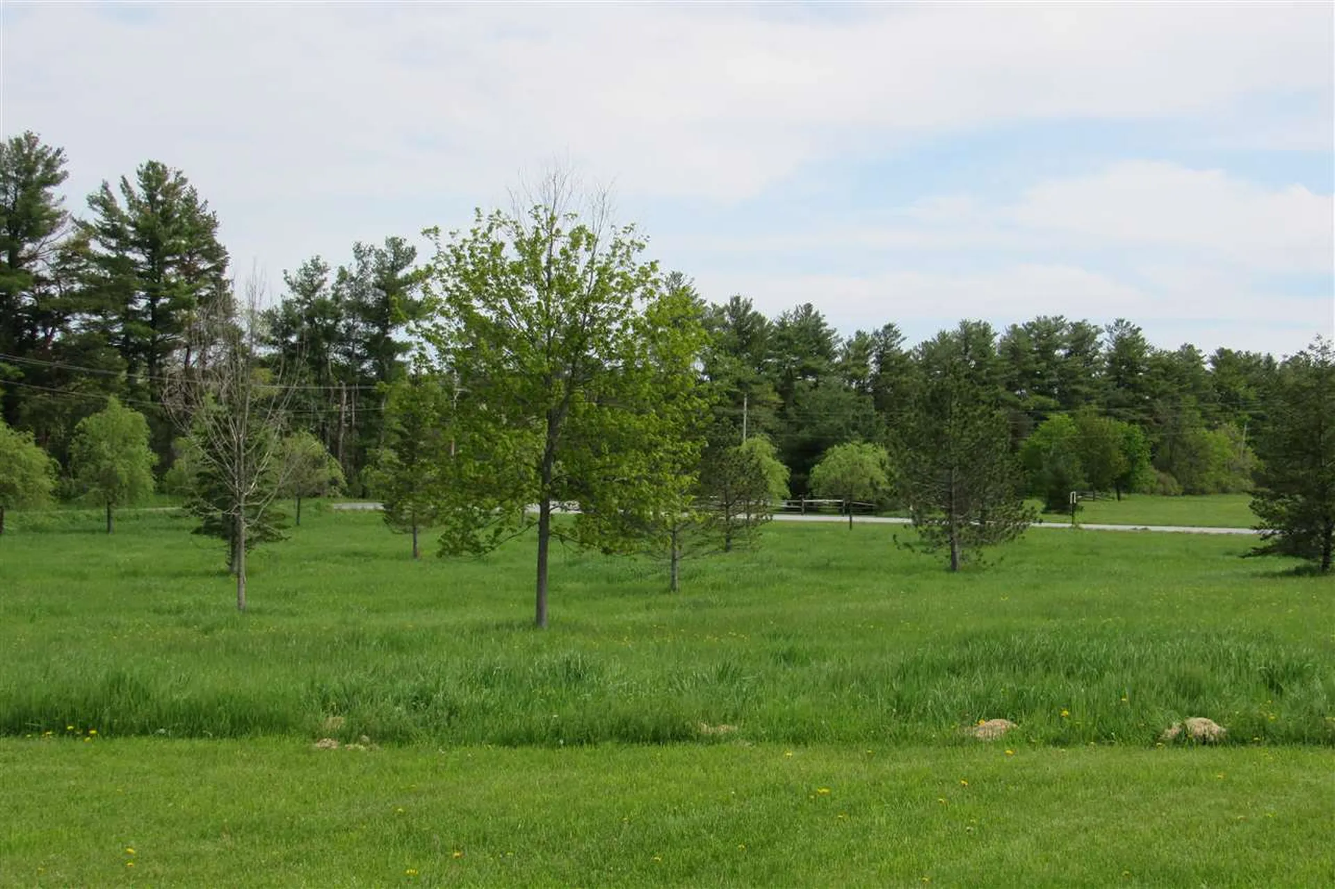 2137 North Bingham Street Cornwall VT 05753
