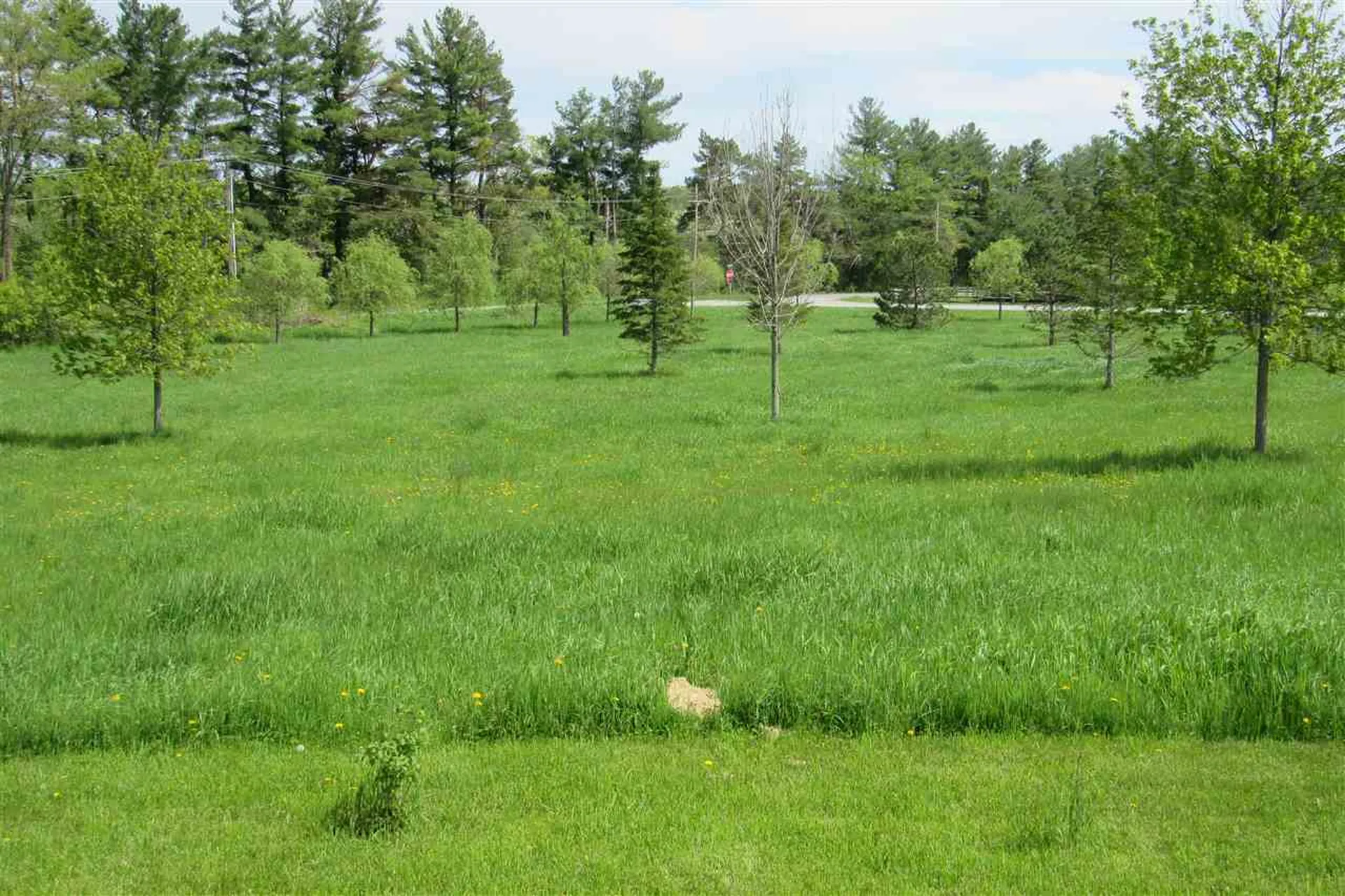2137 North Bingham Street Cornwall VT 05753