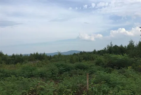 694 Spencer Hollow Road Springfield VT 05156