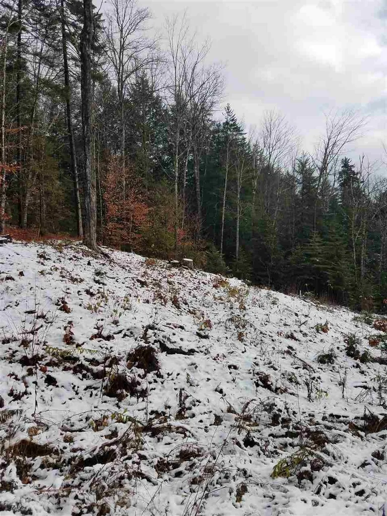 Mountain View Road Bridgewater VT 05034