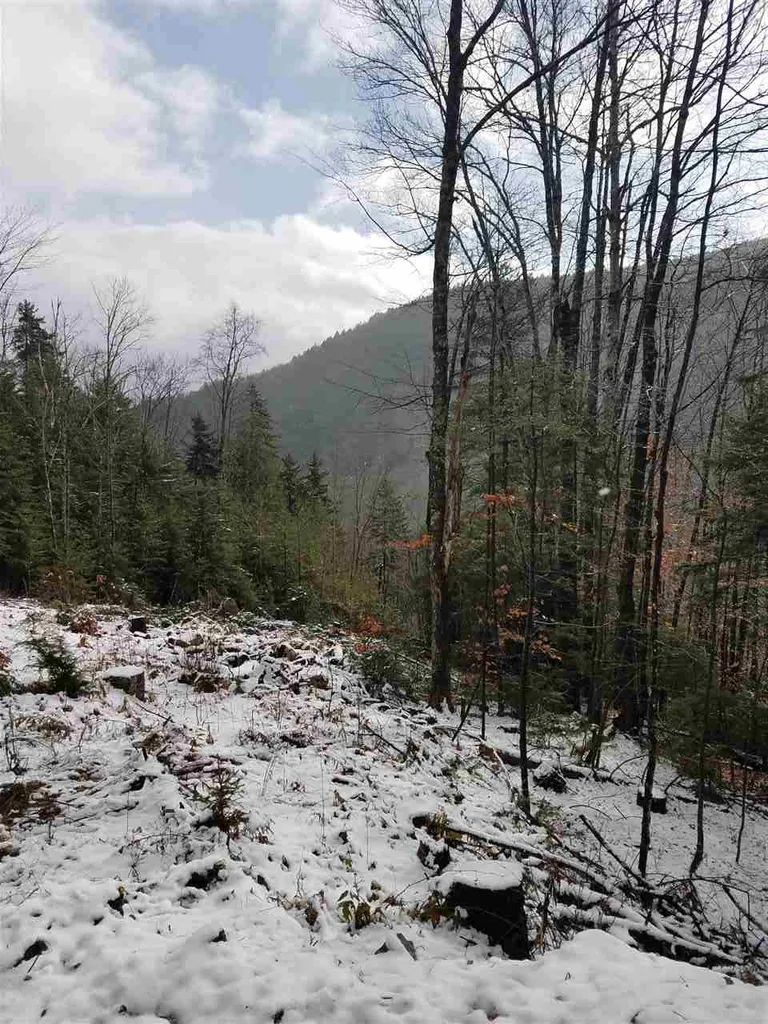 Mountain View Road Bridgewater VT 05034
