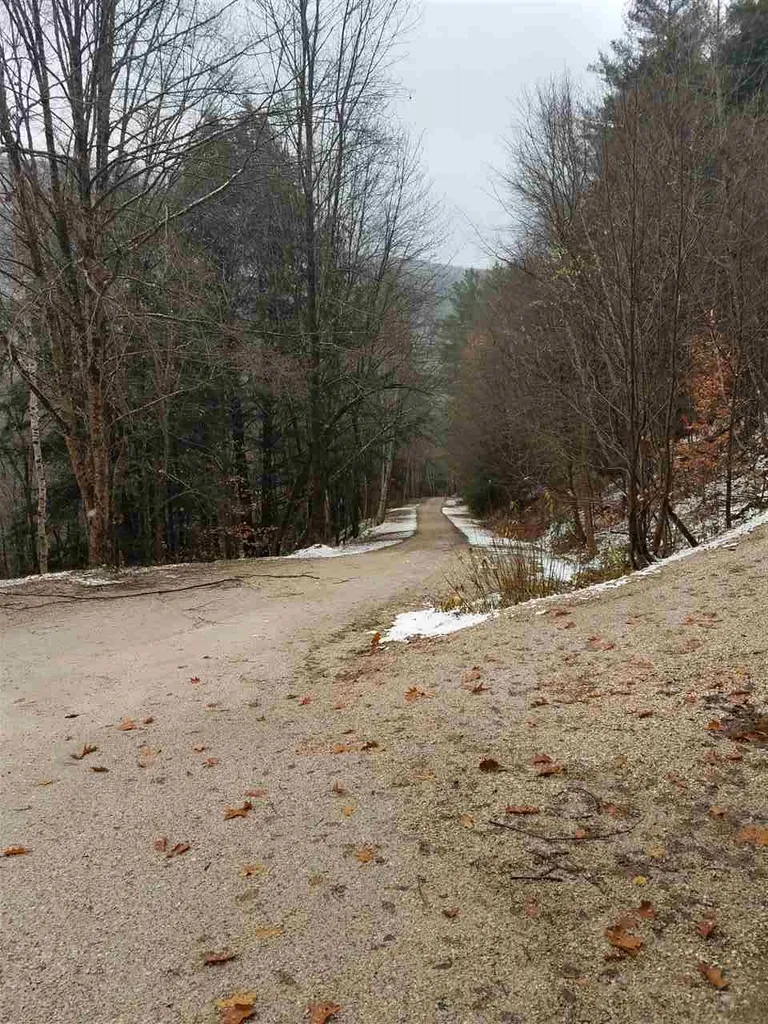Mountain View Road Bridgewater VT 05034