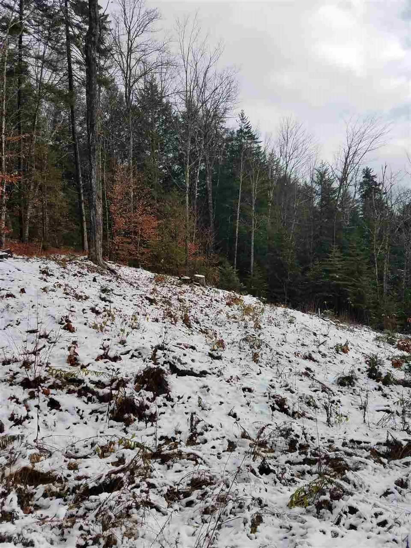 Mountain View Road Bridgewater VT 05034