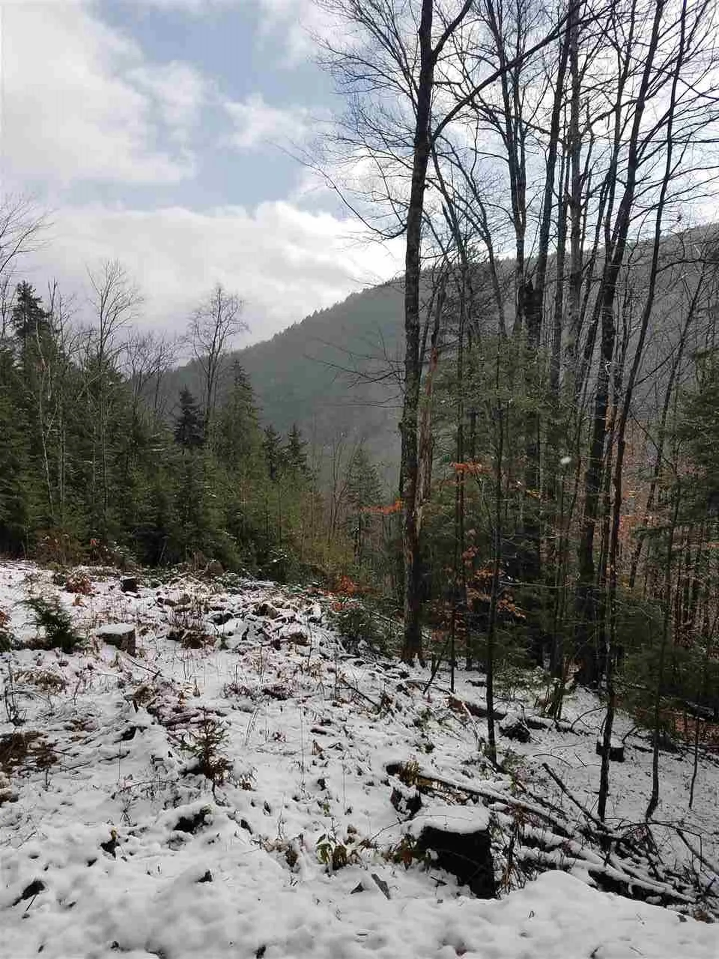 Mountain View Road Bridgewater VT 05034