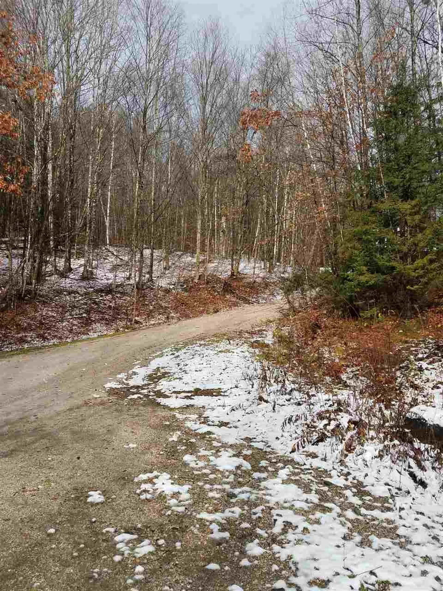 Mountain View Road Bridgewater VT 05034