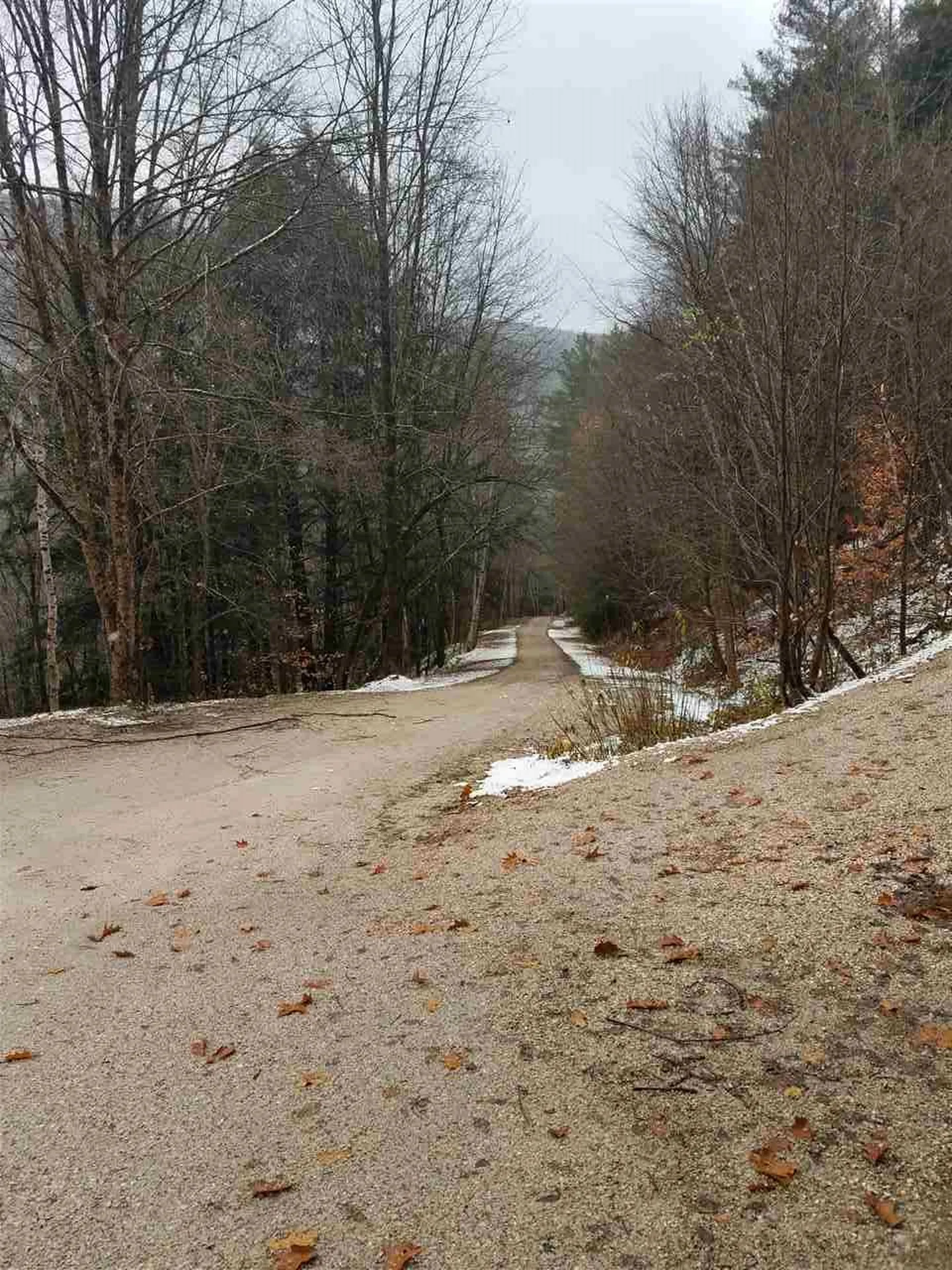 Mountain View Road Bridgewater VT 05034