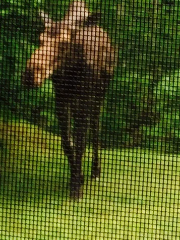 113 Glen Road Gorham NH 03581