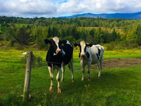 0 East Warren Road Warren VT 05674