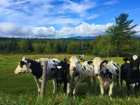 0 East Warren Road Warren VT 05674