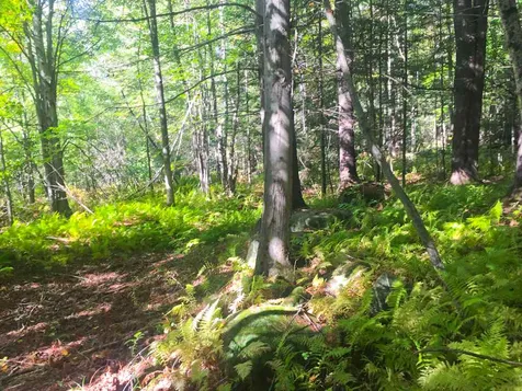 0 East Warren Road Warren VT 05674