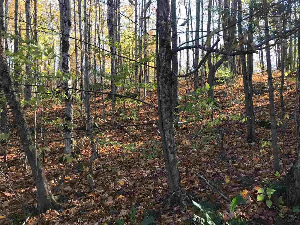 Regan Road Montgomery VT 05471