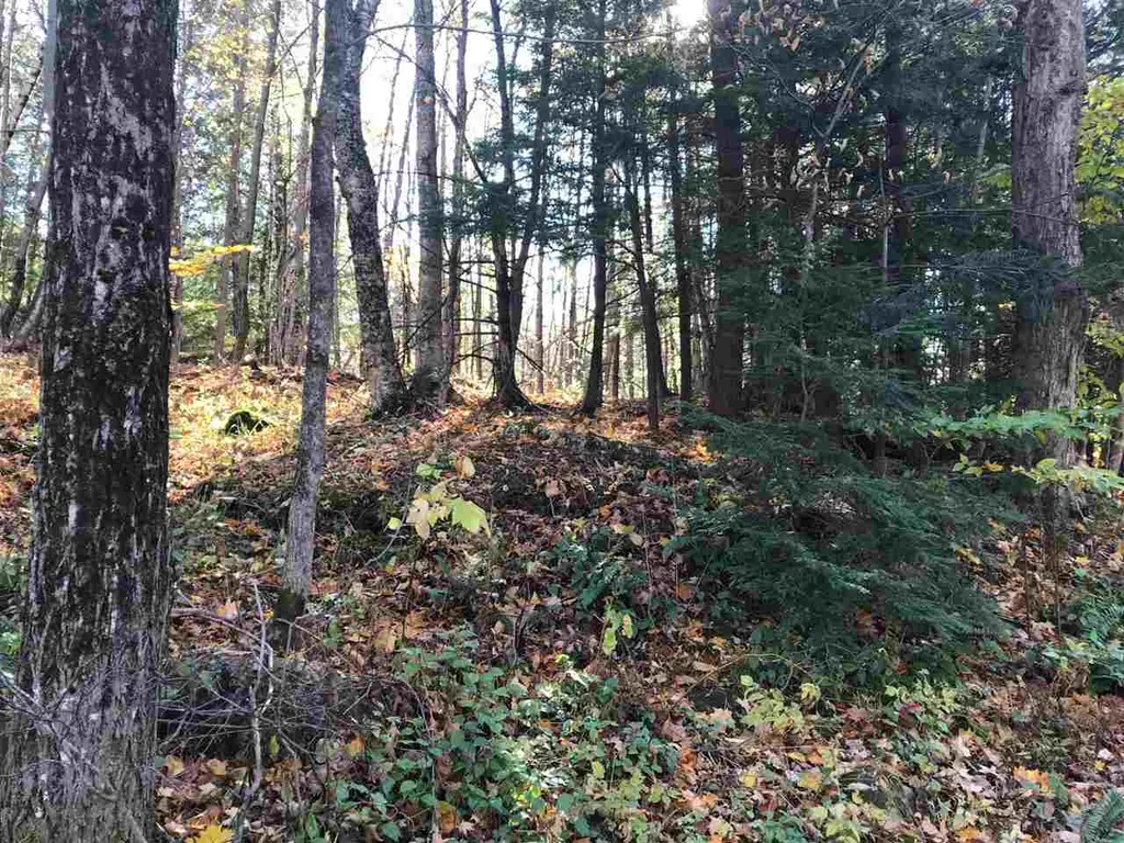 Regan Road Montgomery VT 05471