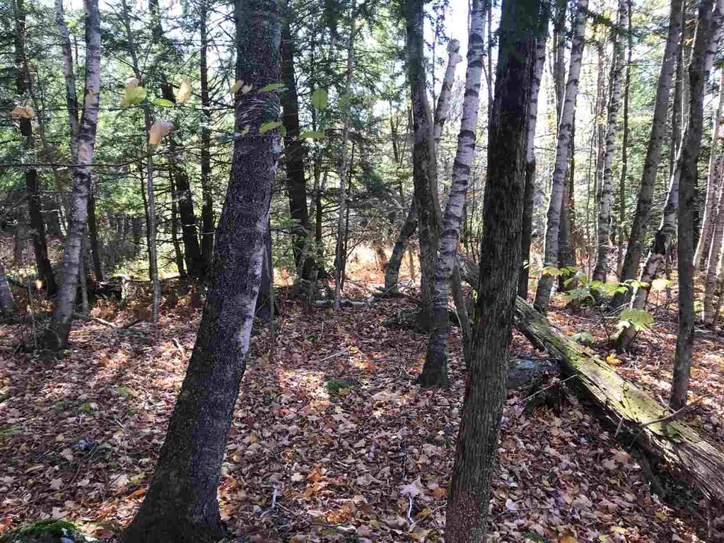 Regan Road Montgomery VT 05471