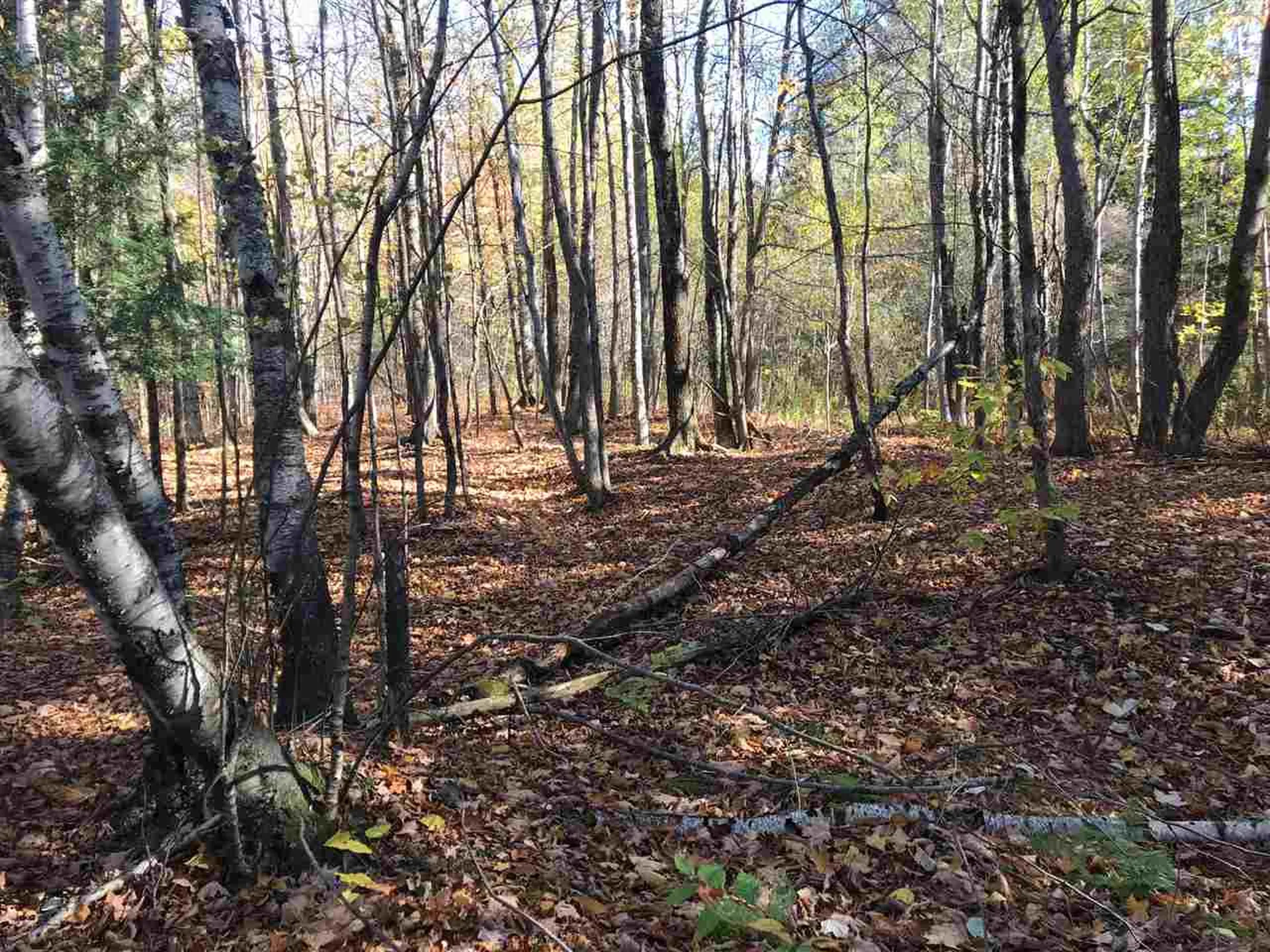 Regan Road Montgomery VT 05471