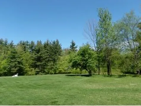 1236 Howard Hill Road Andover VT 05143