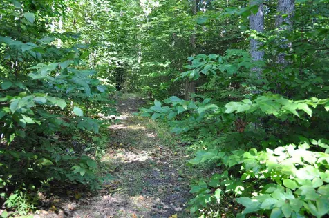 Lot 3 Piper Ridge Road Weybridge VT 05753