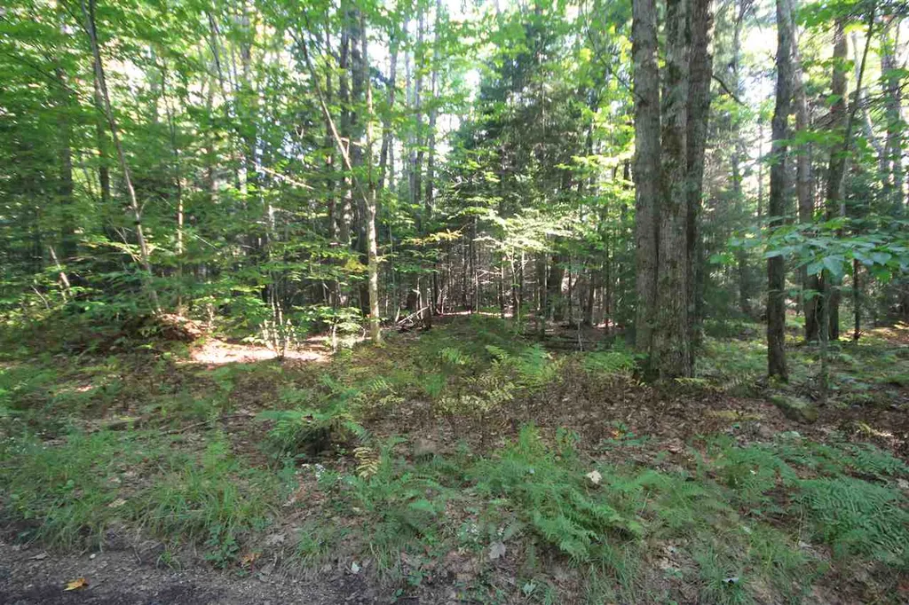 62 Willis Cemetery Road Stratton VT 05360