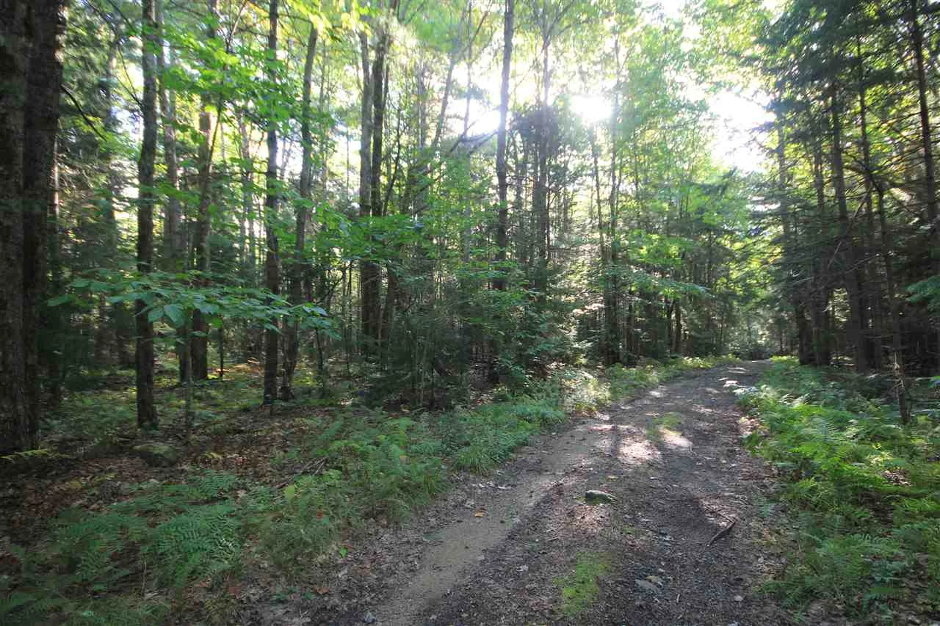 62 Willis Cemetery Road Stratton VT 05360