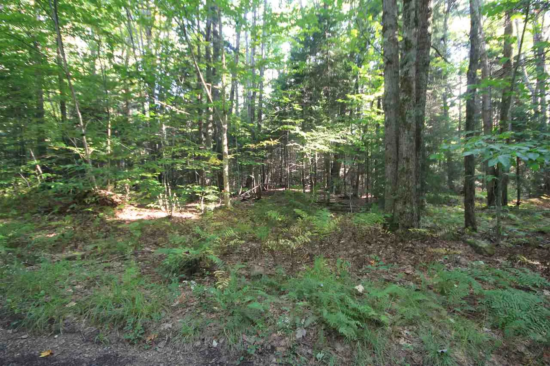 62 Willis Cemetery Road Stratton VT 05360
