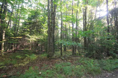 62 Willis Cemetery Road Stratton VT 05360