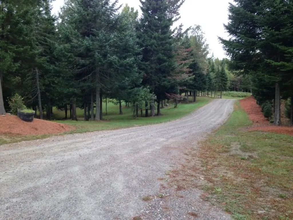 104 Titus Hill Road Colebrook NH 03576