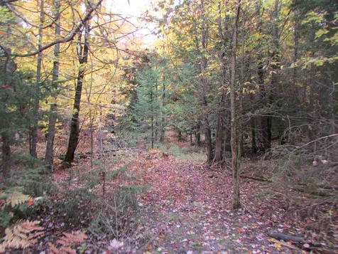 555 Bayley Hazen Road Greensboro VT 05841