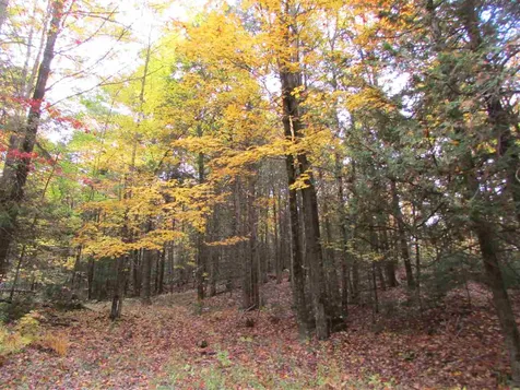 555 Bayley Hazen Road Greensboro VT 05841
