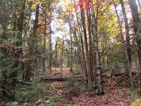 555 Bayley Hazen Road Greensboro VT 05841