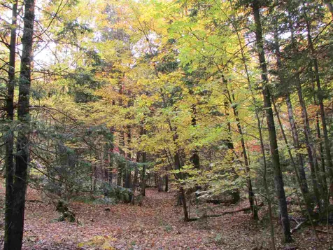555 Bayley Hazen Road Greensboro VT 05841