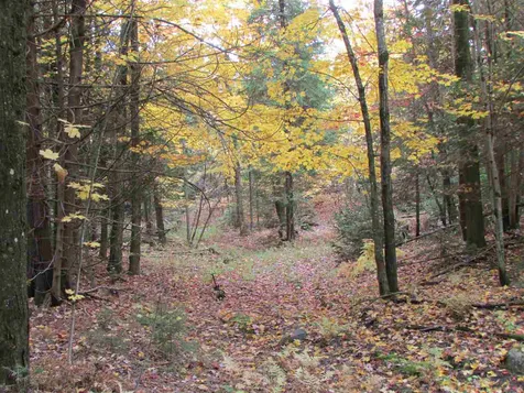 555 Bayley Hazen Road Greensboro VT 05841