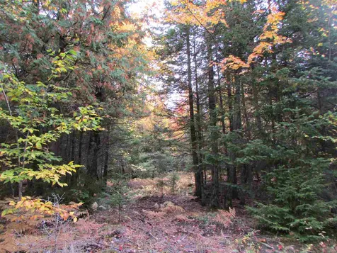 555 Bayley Hazen Road Greensboro VT 05841